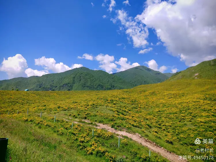 积石山黄草坪风景如画